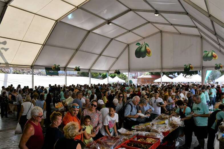 Vista general de la muestra (Foto TA)